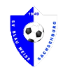 https://img.djmistral.com/img/football/team/1cde488d47b598d2eed91775e6786258.png